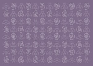 coq web4